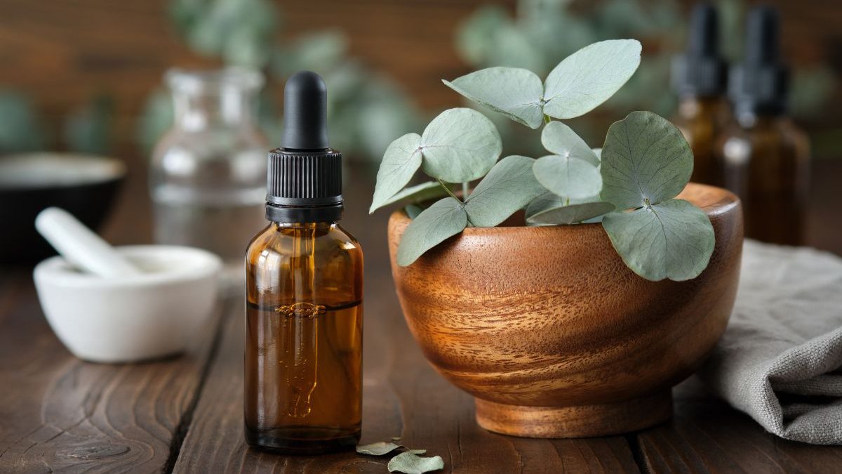 Prévention de la grippe avec l'huile essentielle de Ravintsara. Propriétés, bienfaits et mode d'utilisation pour un hiver en pleine santé !