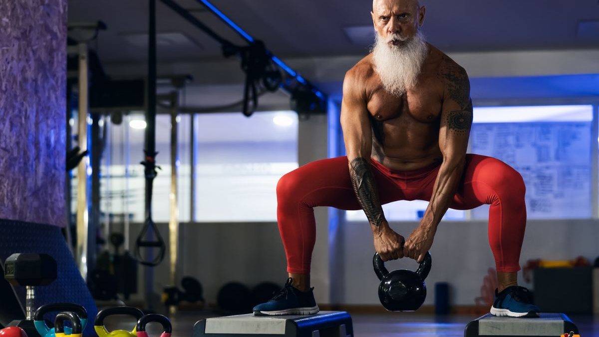sport musculation sénior vétéran gym gymbro sarcopénie sénescence masse musculaire